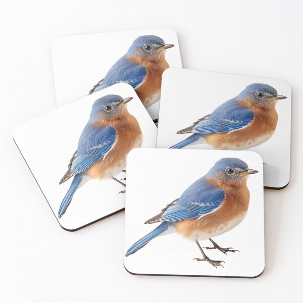 Item preview, Eastern Bluebird Isolated on White Background . AI generated Illustration. designed and sold by svetlanna.