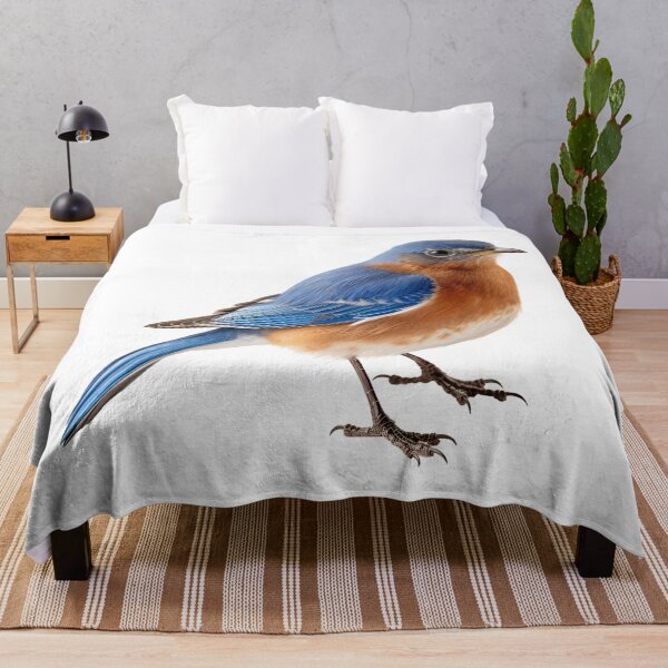 Item preview, Eastern Bluebird Isolated on White Background . AI generated Illustration. designed and sold by svetlanna.