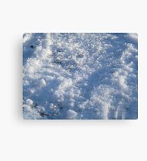 Ice Age - Snow Up Close Canvas Print