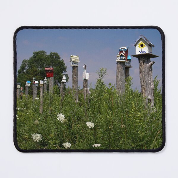 Item preview, Make a little birdhouse designed and sold by lghtwrkr.
