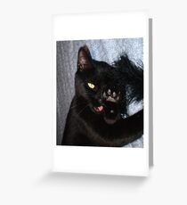 After a Visit to the Vet. Greeting Card