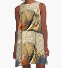 Hermit Crab A-Line Dress