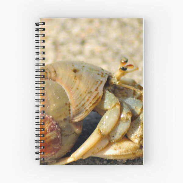 Item preview, Hermit Crab designed and sold by Kim McClain Gregal.