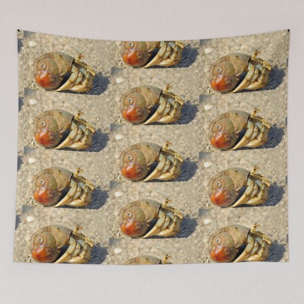 Item preview, Hermit Crab designed and sold by Kim McClain Gregal.