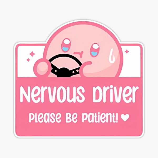 Nervous Driver Please Be Patient Meme Icon Stickers Decal 