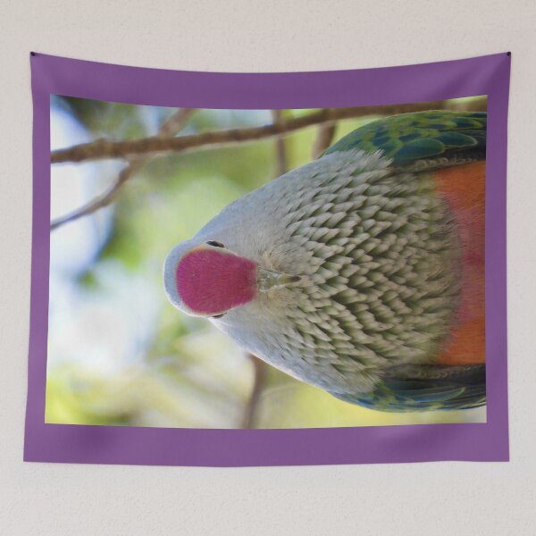 Item preview, Rose-crowned Fruit-dove showing off its crown designed and sold by Mark Grimsley.