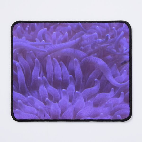 Item preview, Salt Life II designed and sold by PrettyHappyArt.