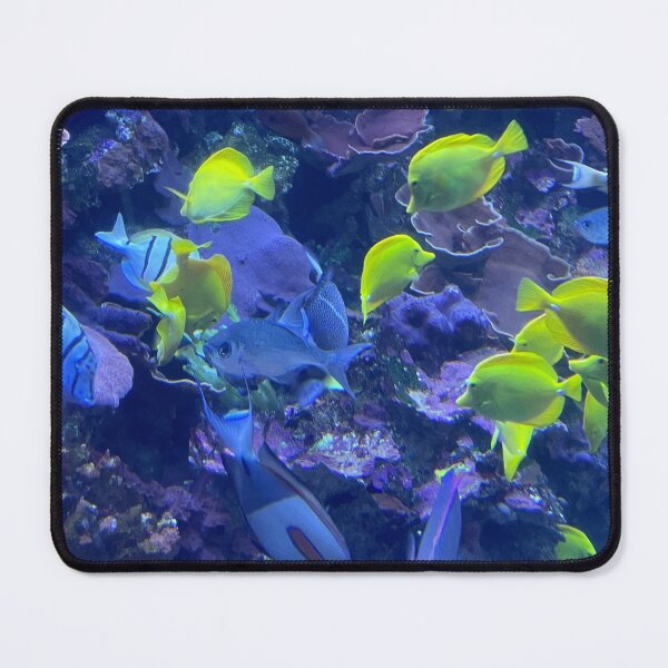Item preview, Salt Life Series III designed and sold by PrettyHappyArt.