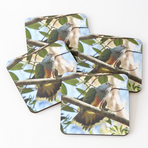 Item preview, Rose-crowned Fruit-dove fanning it tail  designed and sold by Mark Grimsley.