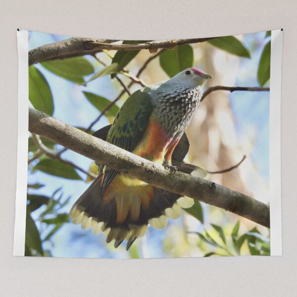 Item preview, Rose-crowned Fruit-dove fanning it tail  designed and sold by Mark Grimsley.