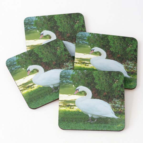 Item preview, Cisne agraciado parado debajo de un árbol. designed and sold by BackyardBirder.