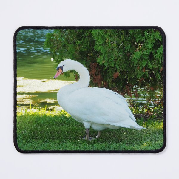 Item preview, Graceful Swan Standing Under a Tree. designed and sold by BackyardBirder.