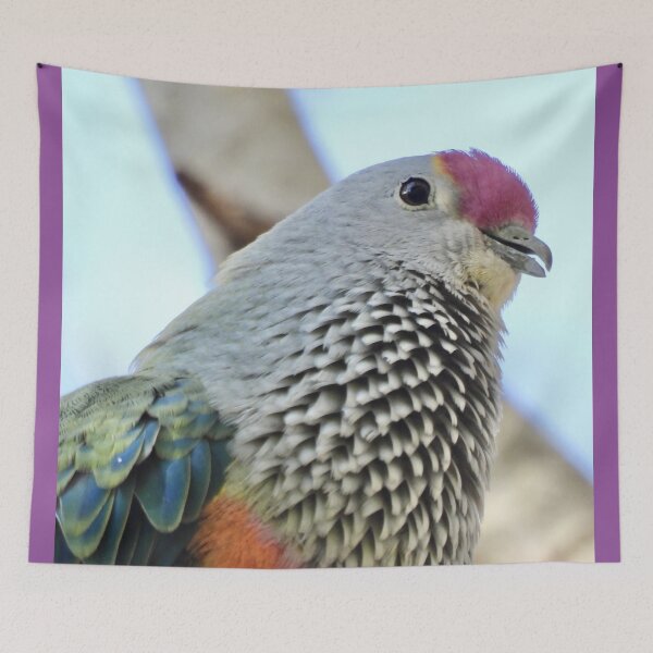 Item preview, Rose-crowned Fruit-dove with smile designed and sold by Mark Grimsley.