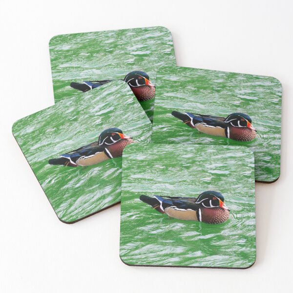 Item preview, Wood Duck Swimming In a Pond designed and sold by BackyardBirder.