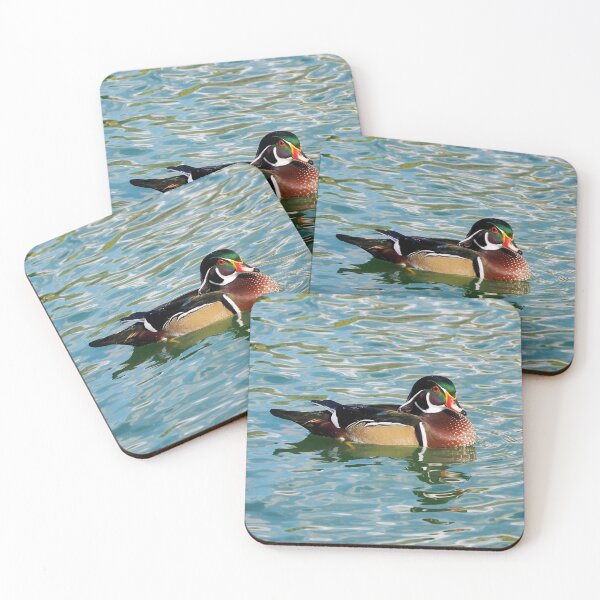 Artikelvorschau, Eine schwimmende Waldente entworfen und verkauft von BackyardBirder.