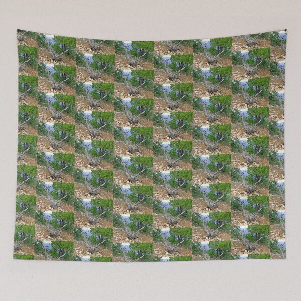 Item preview, Grand Canyon Deadwood Study 2  designed and sold by Robert Meyers-Lussier.
