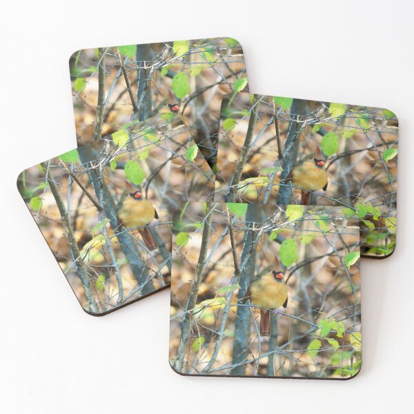 Item preview, Female Northern Cardinal In The Bushes designed and sold by BackyardBirder.