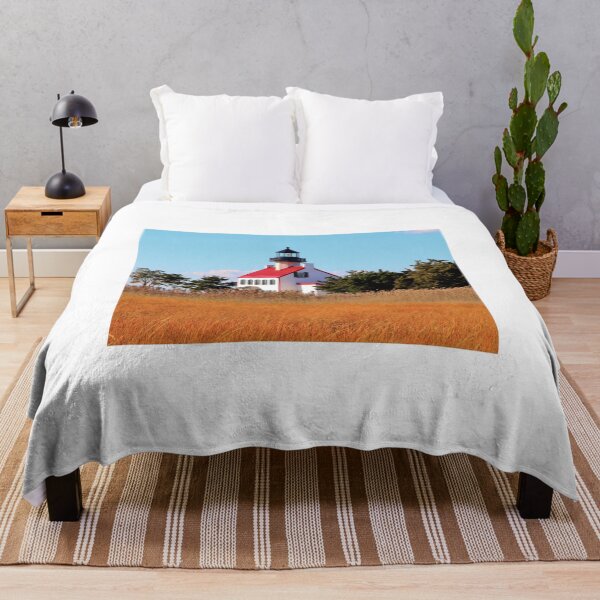 Item preview, Stunning Cape Cod Style East Point Lighthouse in a Rural Rustic Setting in South Jersey  designed and sold by BradKnorrArt.