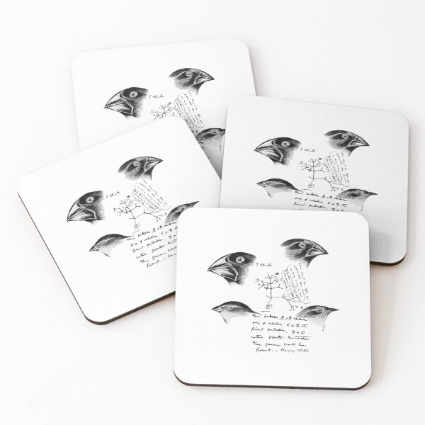 Item preview, Darwin’s Finches  	 designed and sold by heopsqmmmr93.