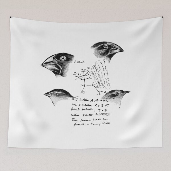 Item preview, Darwin’s Finches  	 designed and sold by heopsqmmmr93.
