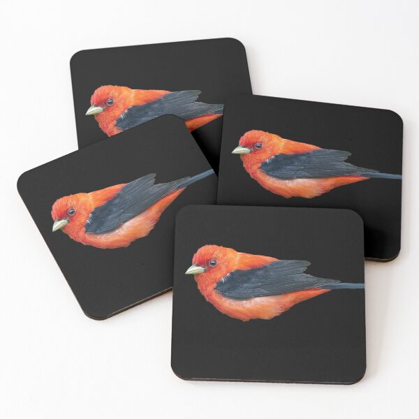 Item preview, Robin Rojo designed and sold by swampmaster.