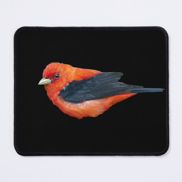 Item preview, Robin Rojo designed and sold by swampmaster.
