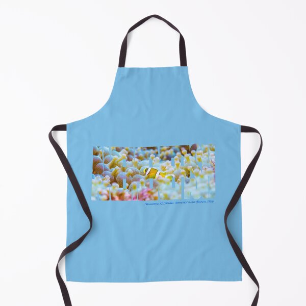Item preview, Young anemonefish at  the Bubble-tip anemone garden designed and sold by tank200bar.