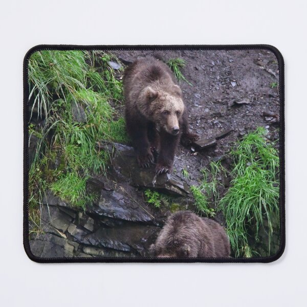 Item preview, Kodiak Bear Cub Cliffs designed and sold by EaglemasterArts.