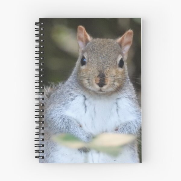Item preview, Oh, hello there! designed and sold by wenniewombat.