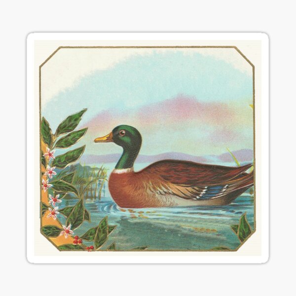 "Duck" Sticker for Sale by VinCollector | Redbubble