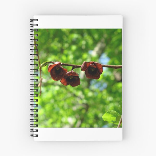 Item preview, Spring tree flowers designed and sold by RYBHOWE.