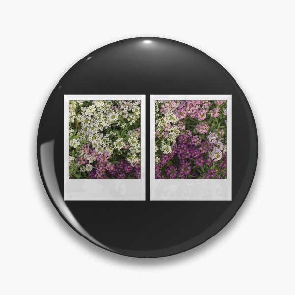 Item preview, Assylum Photo Collection [paired bundle] designed and sold by deadbeatprince-typography.