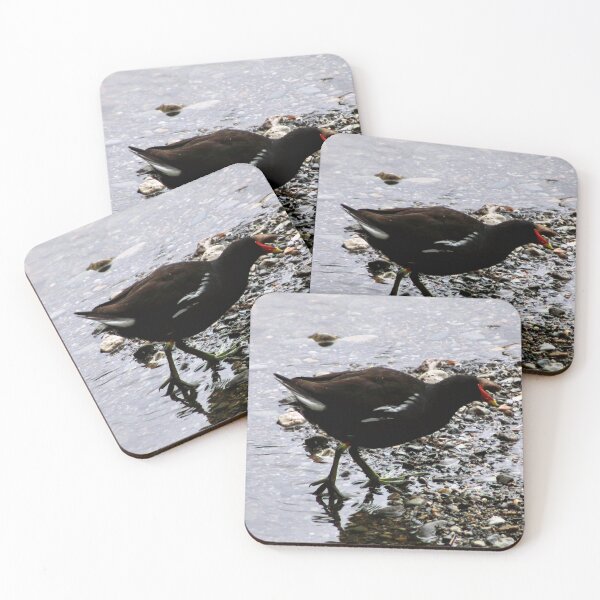 Item preview, moorhen designed and sold by KathleenDawson.