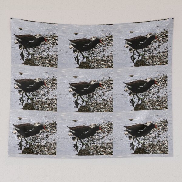 Item preview, moorhen designed and sold by KathleenDawson.