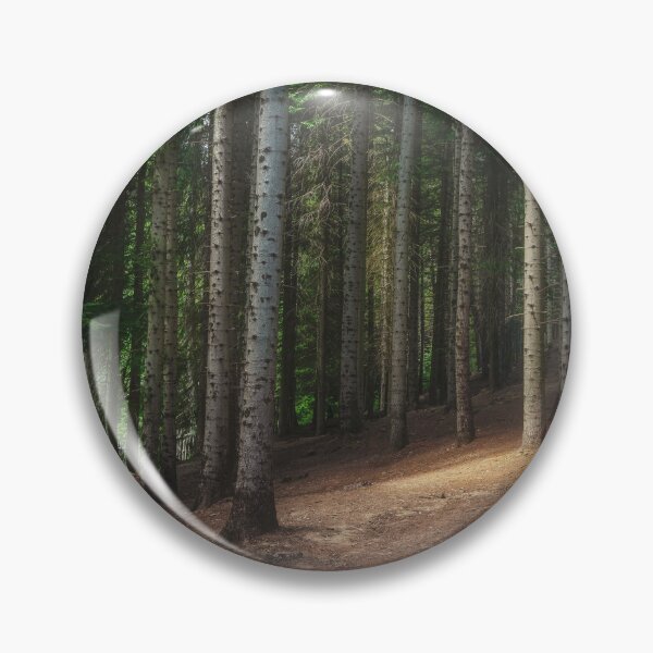 Item preview, Mountain path inside a silver fir forest. Apennines, Italy designed and sold by Stefano Orazzini.