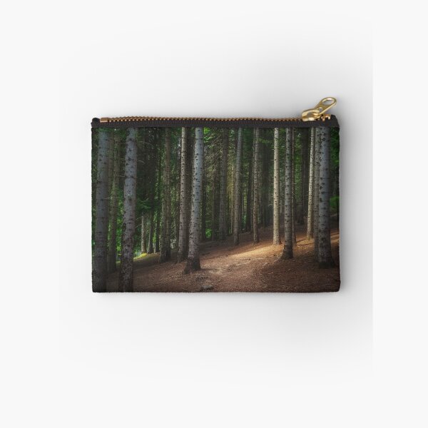 Item preview, Mountain path inside a silver fir forest. Apennines, Italy designed and sold by Stefano Orazzini.