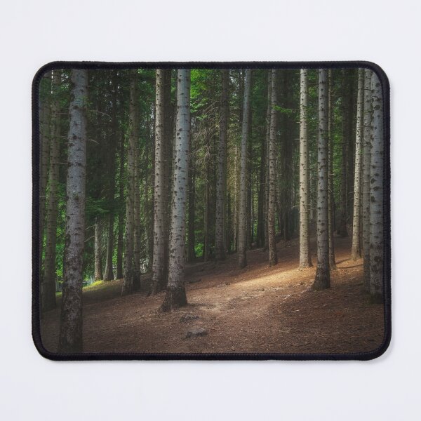 Item preview, Mountain path inside a silver fir forest. Apennines, Italy designed and sold by Stefano Orazzini.