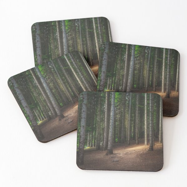 Item preview, Mountain path inside a silver fir forest. Apennines, Italy designed and sold by Stefano Orazzini.