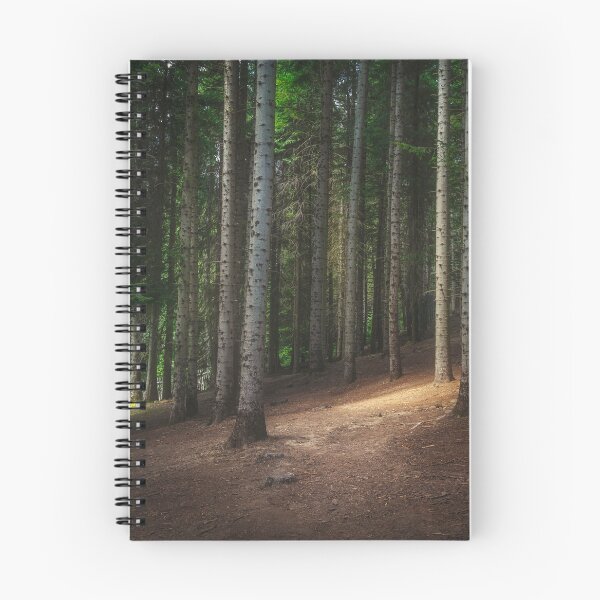 Item preview, Mountain path inside a silver fir forest. Apennines, Italy designed and sold by Stefano Orazzini.