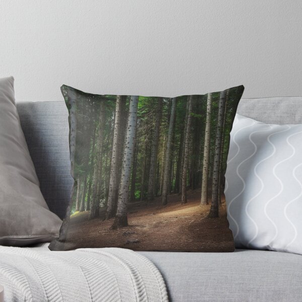 Item preview, Mountain path inside a silver fir forest. Apennines, Italy designed and sold by Stefano Orazzini.