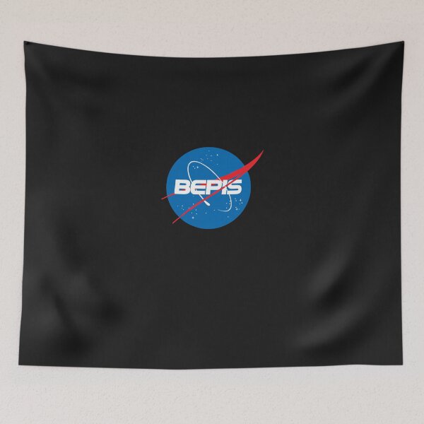 Item preview, Bepis Nasa Logo Sticker designed and sold by MistiBell88.