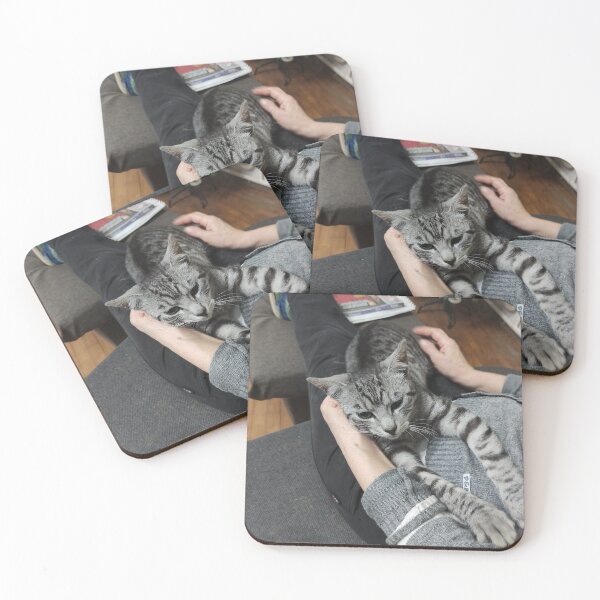 Item preview, gray cat cuddles designed and sold by BS-animals.