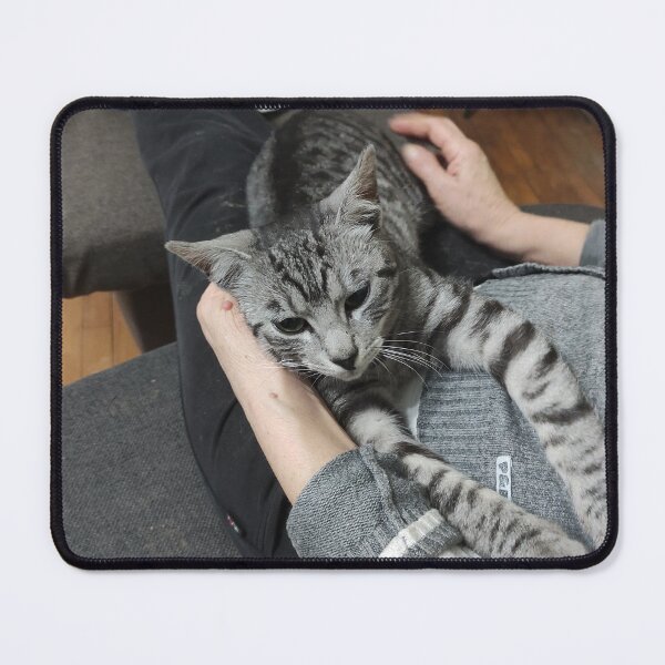 Item preview, gray cat cuddles designed and sold by BS-animals.