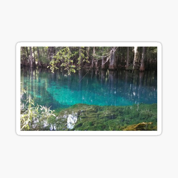 Manatee Springs Beautiful Natural Florida Sticker