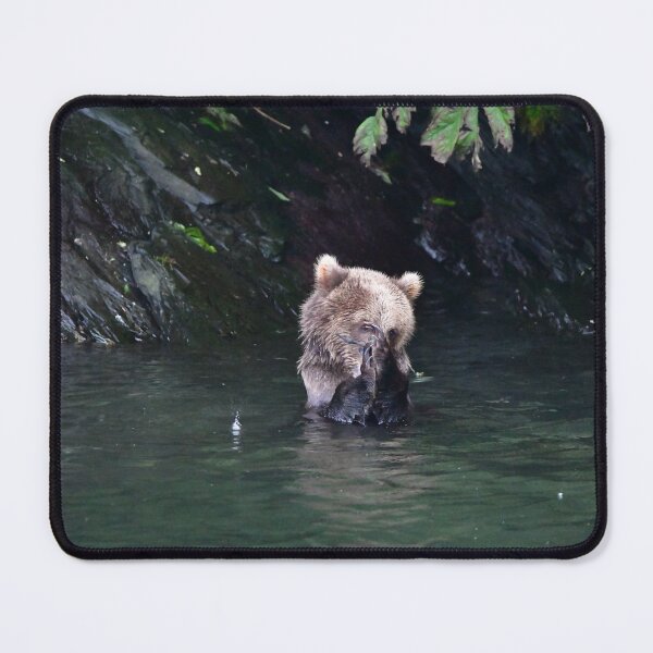 Item preview, Kodiak Brown Bear Snack Attack designed and sold by EaglemasterArts.