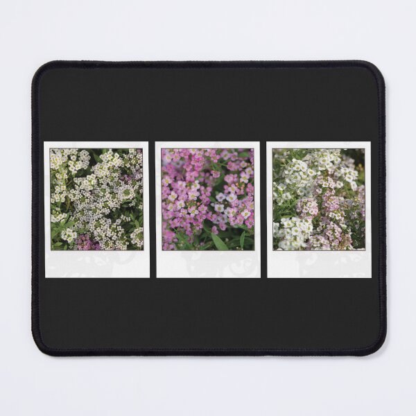 Item preview, Assylum Photo Collection [mixed bundle] designed and sold by deadbeatprince-typography.