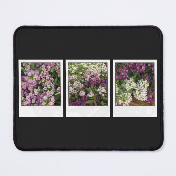 Item preview, Assylum Photo Collection [white and purple bundle] designed and sold by deadbeatprince-typography.