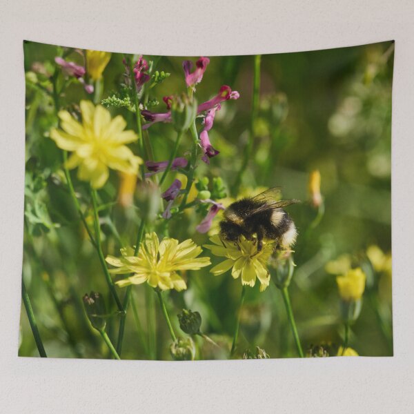 Item preview, Doing the job. White-tailed bumblebee designed and sold by Jouko Lehto Photography.