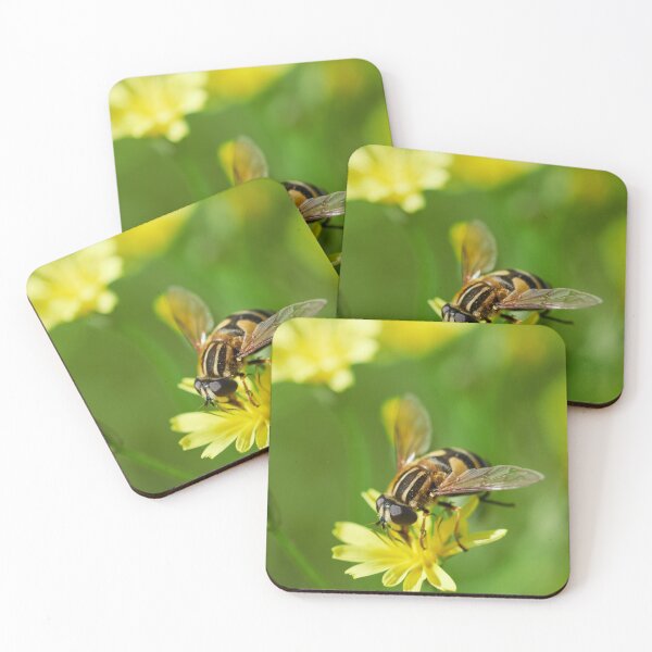 Item preview, It's a Sun fly designed and sold by Jouko Lehto Photography.