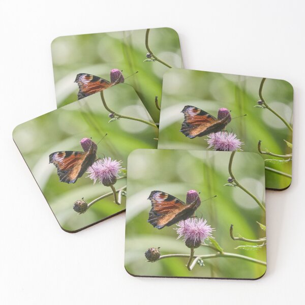 Item preview, There are different kinds of peacocks. European peacock designed and sold by Jouko Lehto Photography.